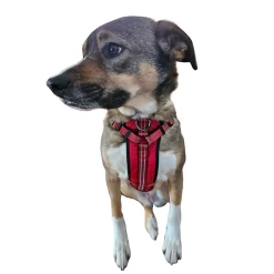 Guardian Gear Reflective Nylon Harnesses