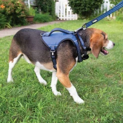 Guardian Gear Reflective Nylon Harnesses