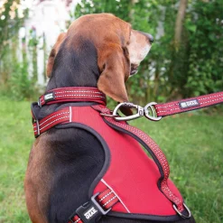 Guardian Gear Reflective Nylon Harnesses