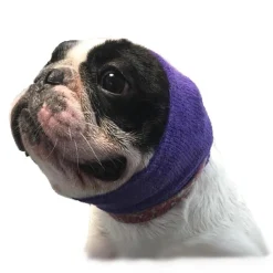 Happy Hoodie - Singles
