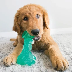 KONG Squeezz Dental Bones Dental Chew for Dogs