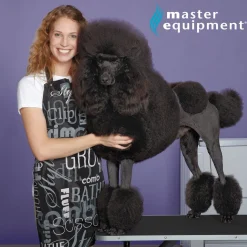 Master Equipment Dog Grooming Table w/Arm 42x24x30In