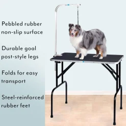 Master Equipment Dog Grooming Table with Arm 48x24x30In
