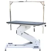 Master Equipment Electric Z-Lift Rotating Top Dog Grooming Tables