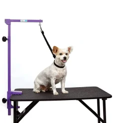Master Equipment Foldable Grooming Arm with Aluminum Clamp