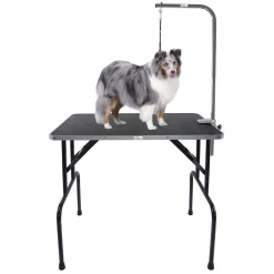 Master Equipment Folding Dog Grooming Tables
