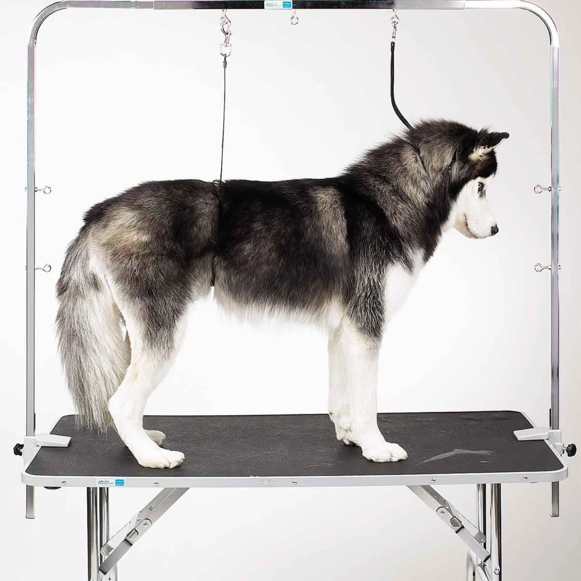 Master Equipment Overhead Grooming Arms