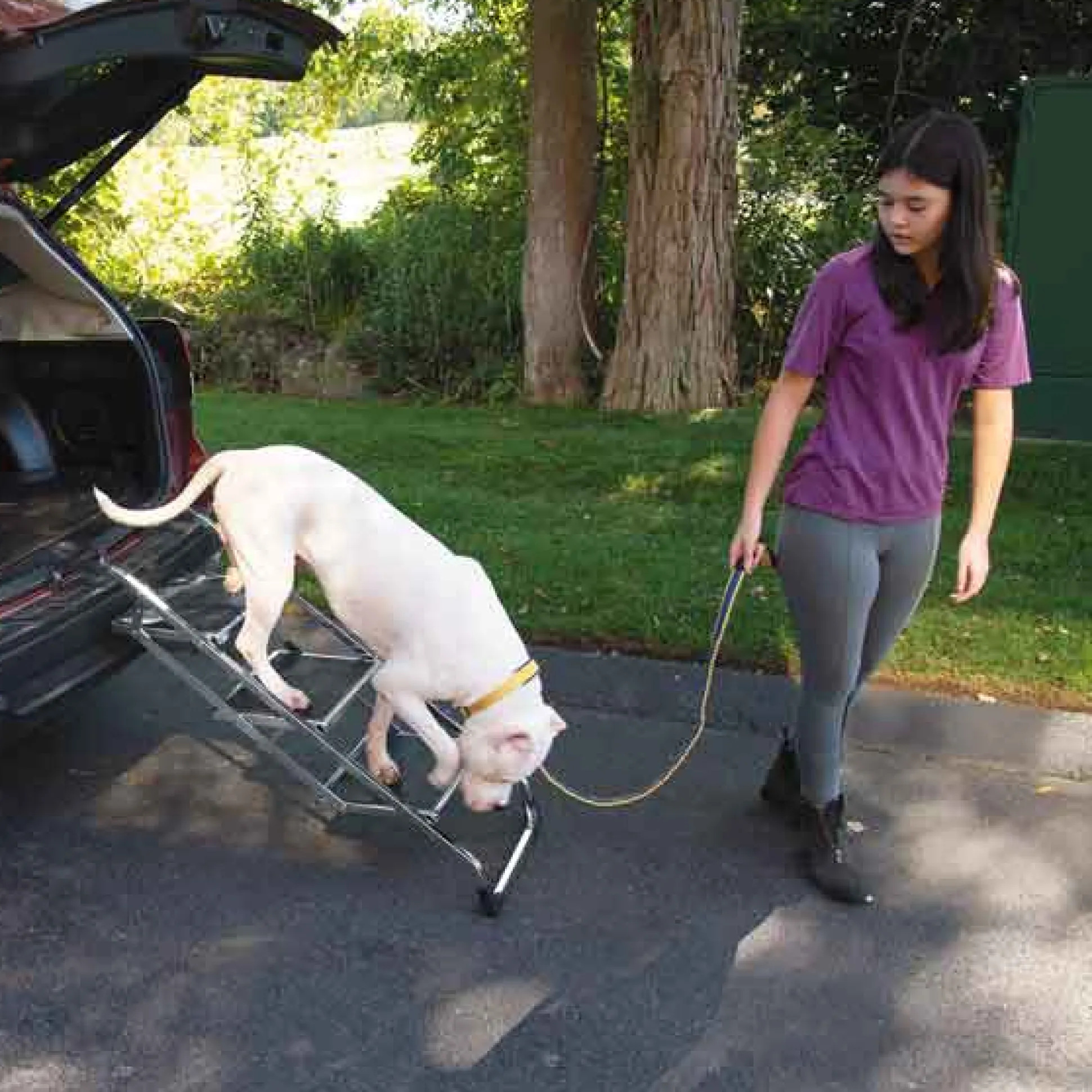 Master Equipment Pet Stairs