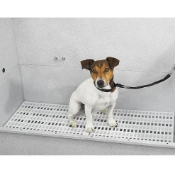 Master Equipment Raised Dog Grooming Tub Rack