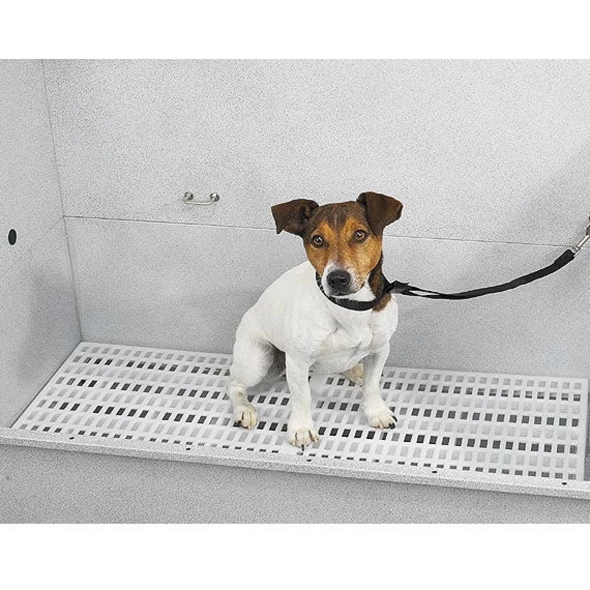 Master Equipment Raised Dog Grooming Tub Rack