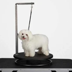 Master Equipment Small Pet Grooming Tables