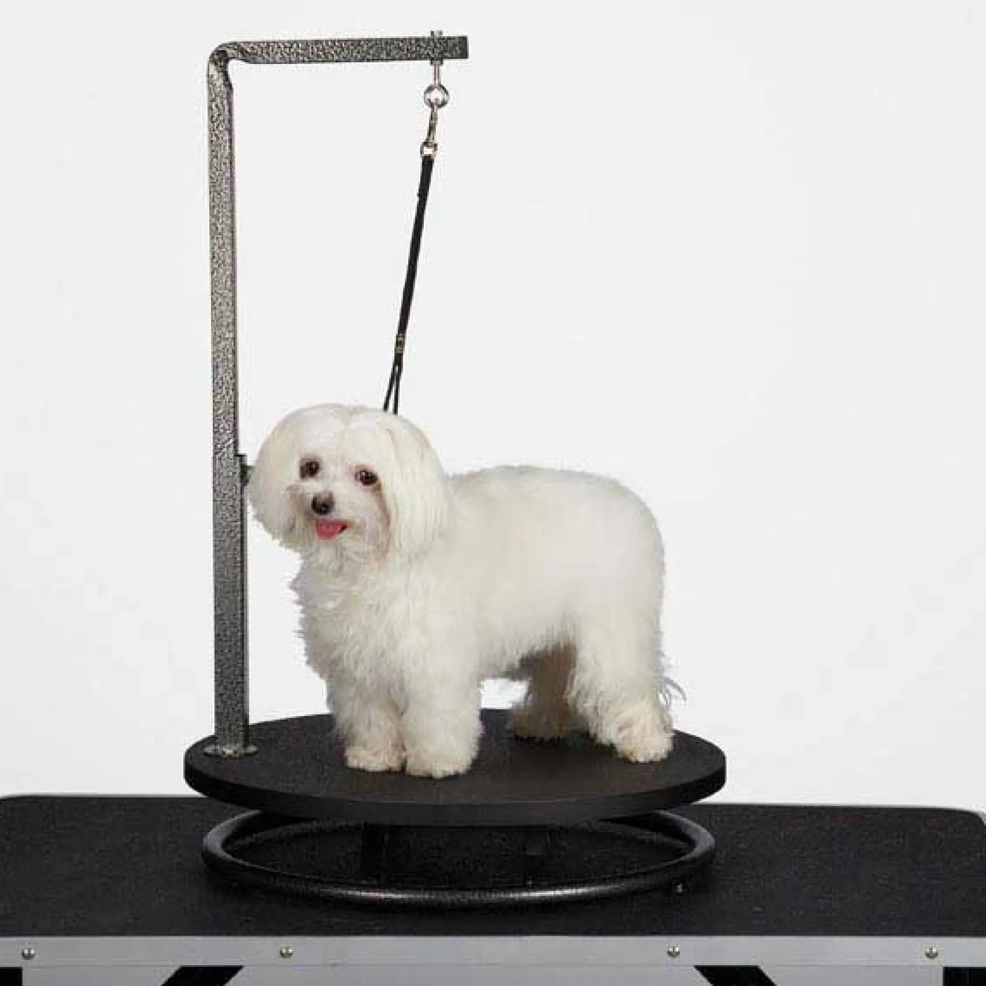 Master Equipment Small Pet Grooming Tables