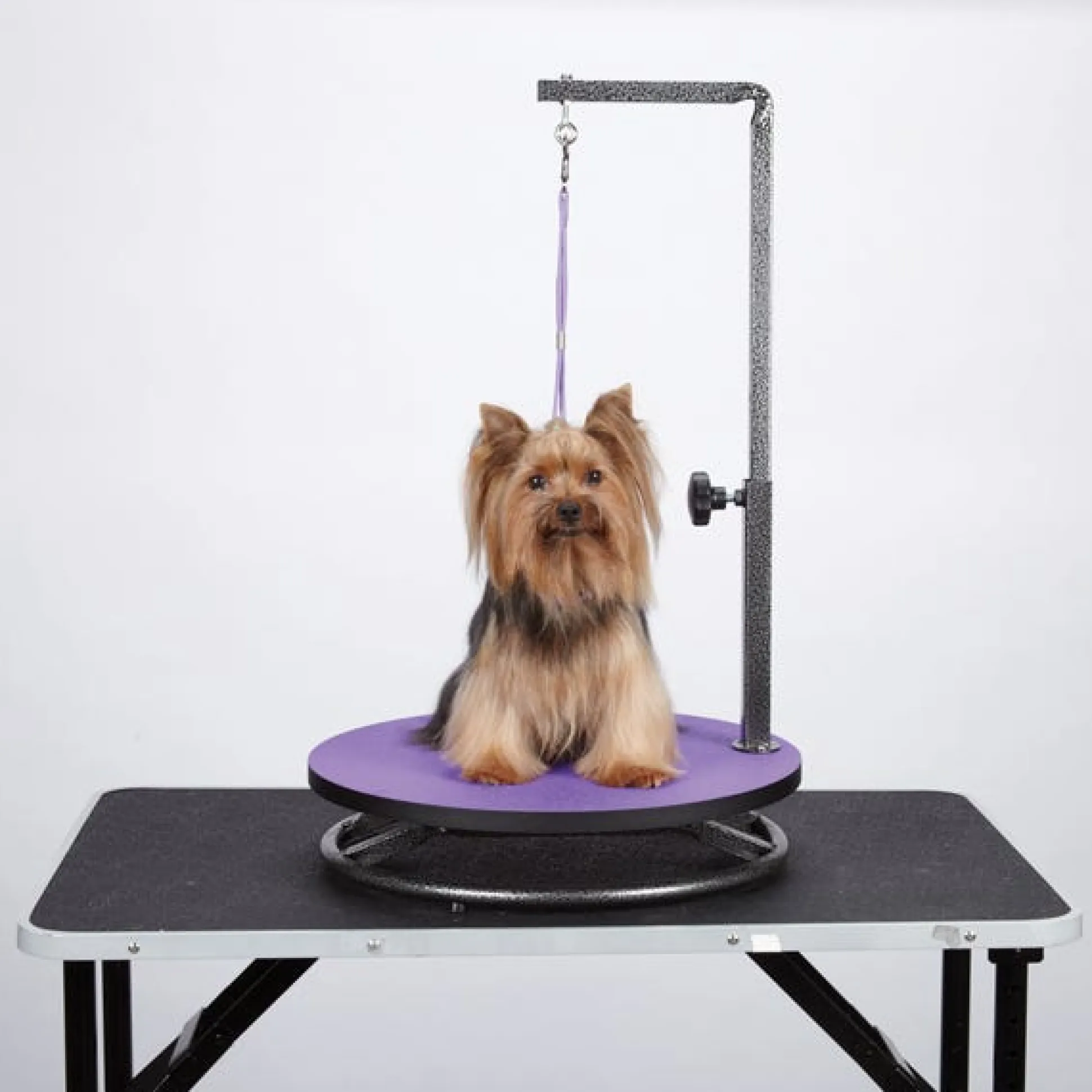 Master Equipment Small Pet Grooming Tables
