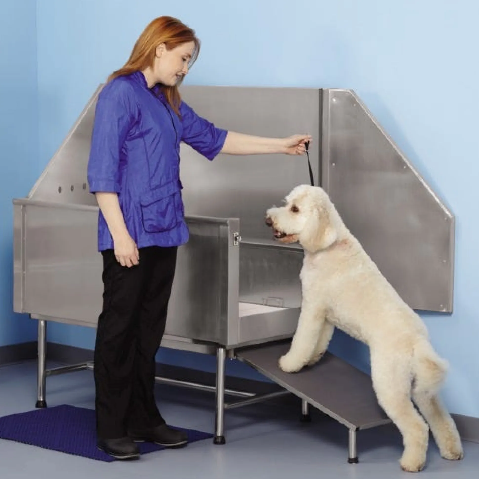 Master Equipment Superior Stainless Steel Evolve Dog Grooming Tubs