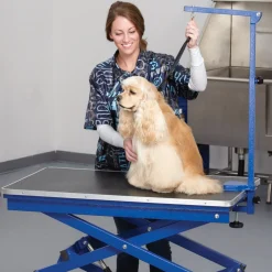 Master Equipment X-Tend Electric Dog Grooming Table