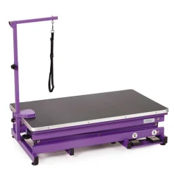 Master Equipment X-Tend Electric Dog Grooming Table