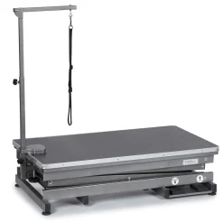 Master Equipment X-Tend Electric Dog Grooming Table