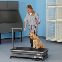 Master Equipment X-Tend Electric Dog Grooming Table