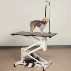 Master Equipment Z-Lift II Electric Dog Grooming Tables