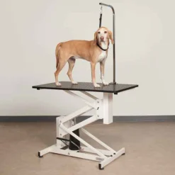 Master Equipment Z-Lift II Hydraulic Dog Grooming Tables