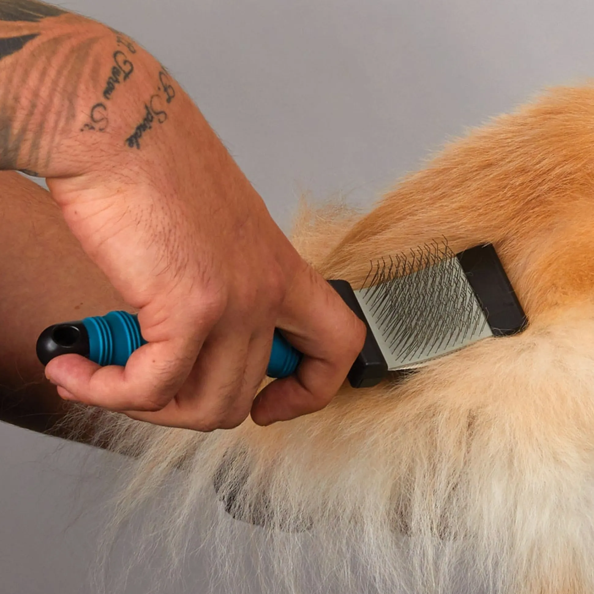 Master Grooming Tools Double-Sided Flexible Slicker Brushes