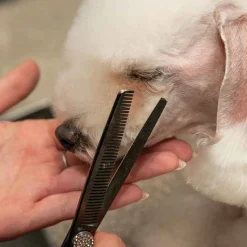 Master Grooming Tools Mushu Shears, 42-Tooth 6.5