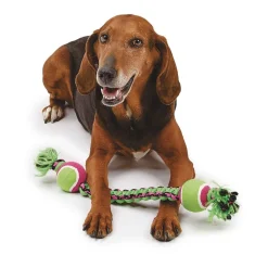 Pet Park Blvd Paracord Rope Double Tennis Tugs