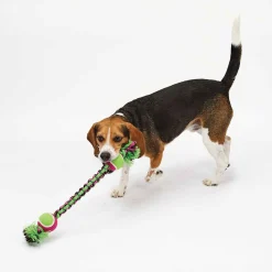 Pet Park Blvd Paracord Rope Double Tennis Tugs
