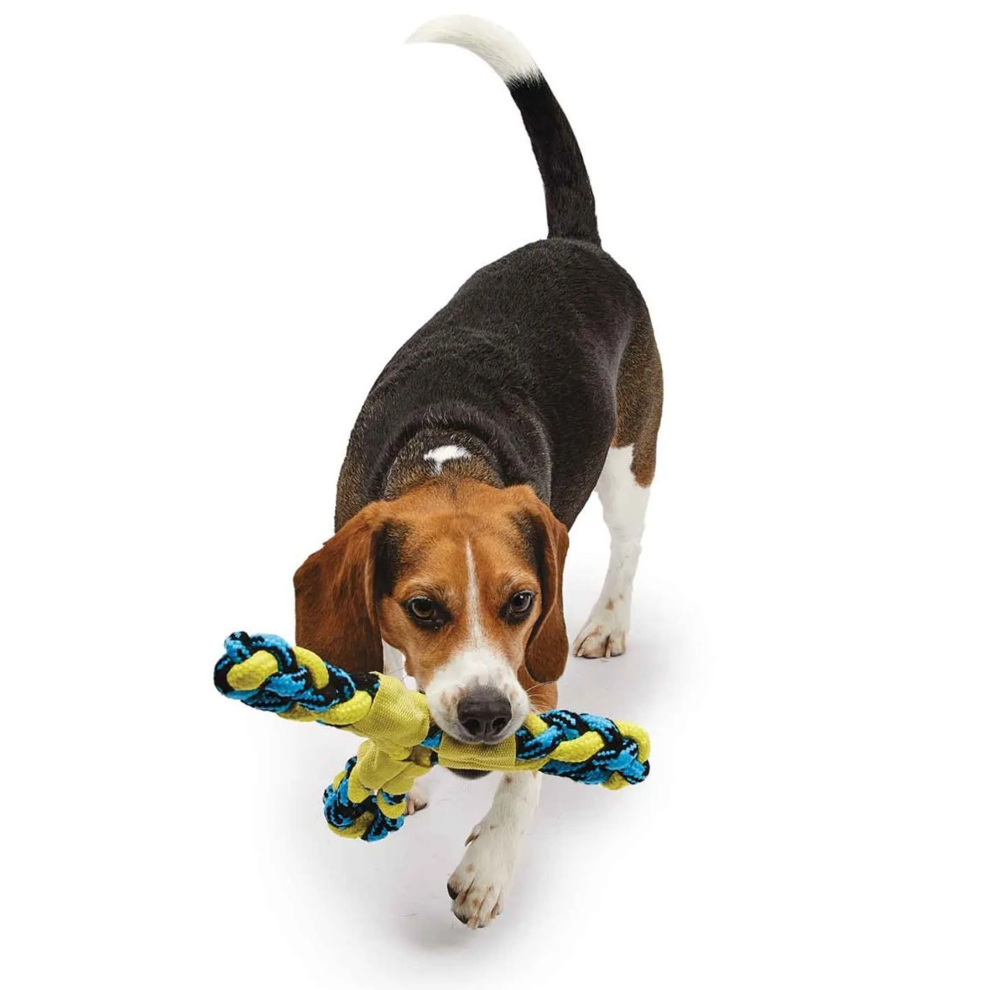 Pet Park Blvd Paracord Rope Twisted Tri-Flyers