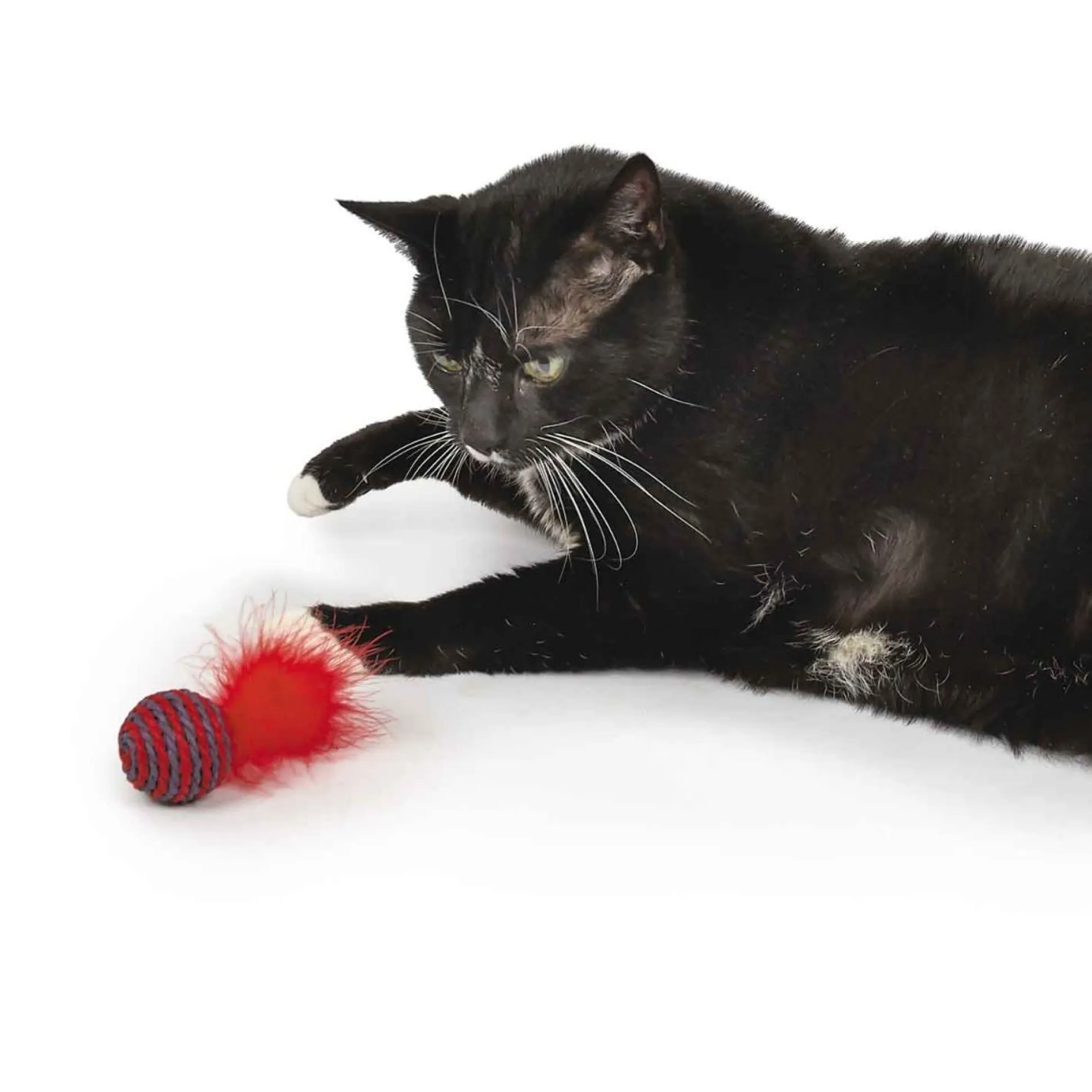 Pet Park Blvd Sisal Roller Toys 2 pk