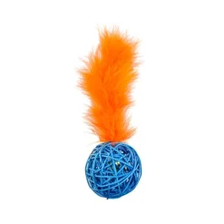 Pet Park Blvd Wicker Ball Toys