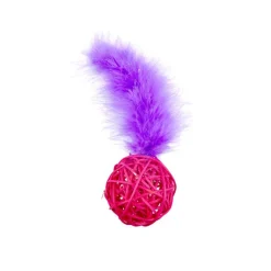 Pet Park Blvd Wicker Ball Toys