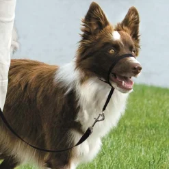 PetSafe Gentle Leader Head Collars