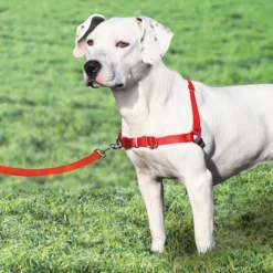 Petsafe Small Red Easy Walk Harnesses
