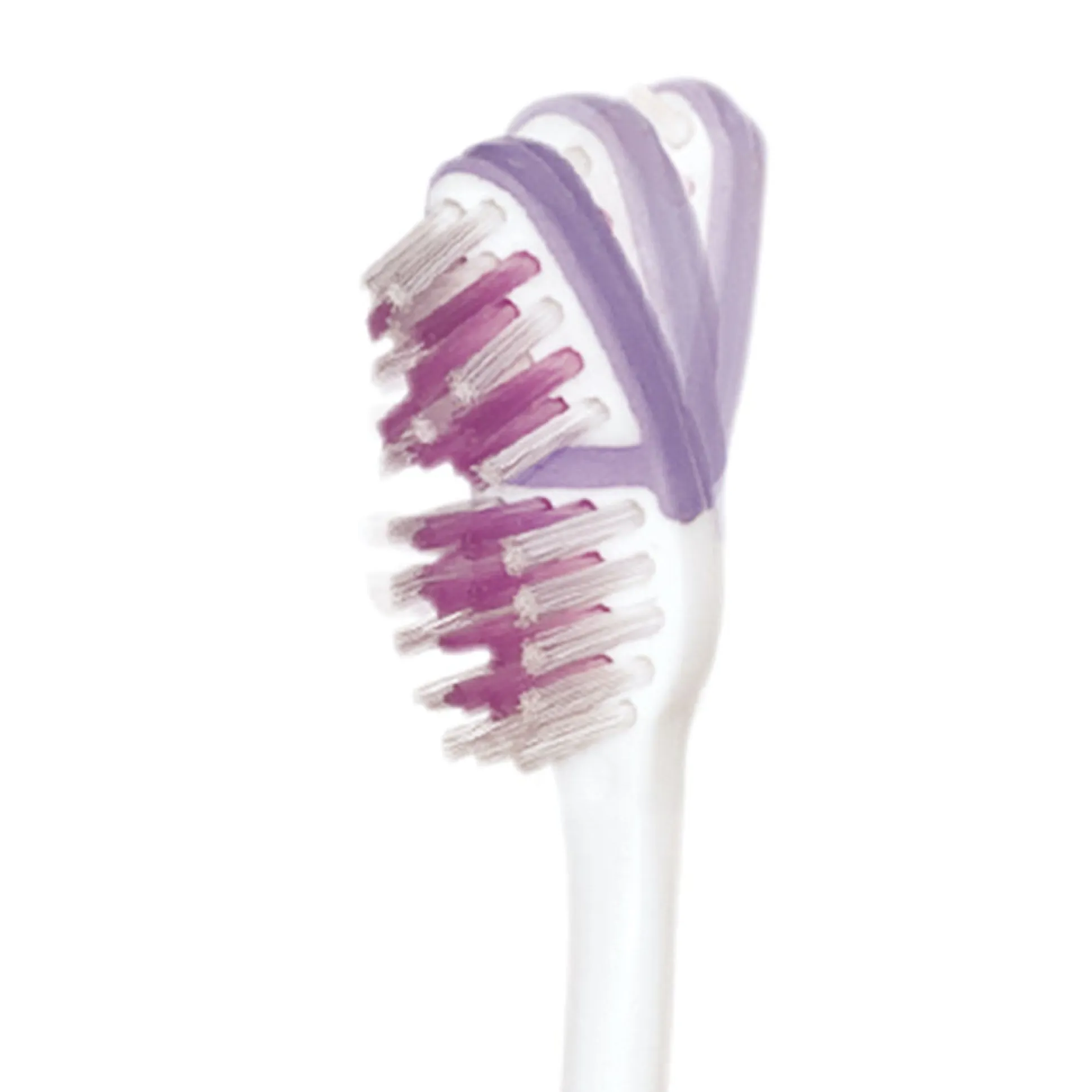 PlaqClnz Pet Toothbrush 48 ct Container