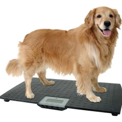 Precision Digital Pet Scales