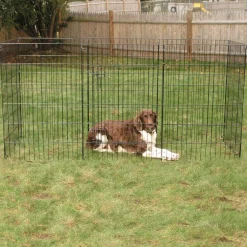 ProSelect Everlasting Dog Exercise Pens With Door