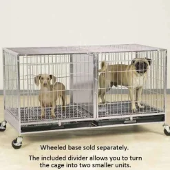 ProSelect Modular Cage w/Plastic Tray Stainless Steel