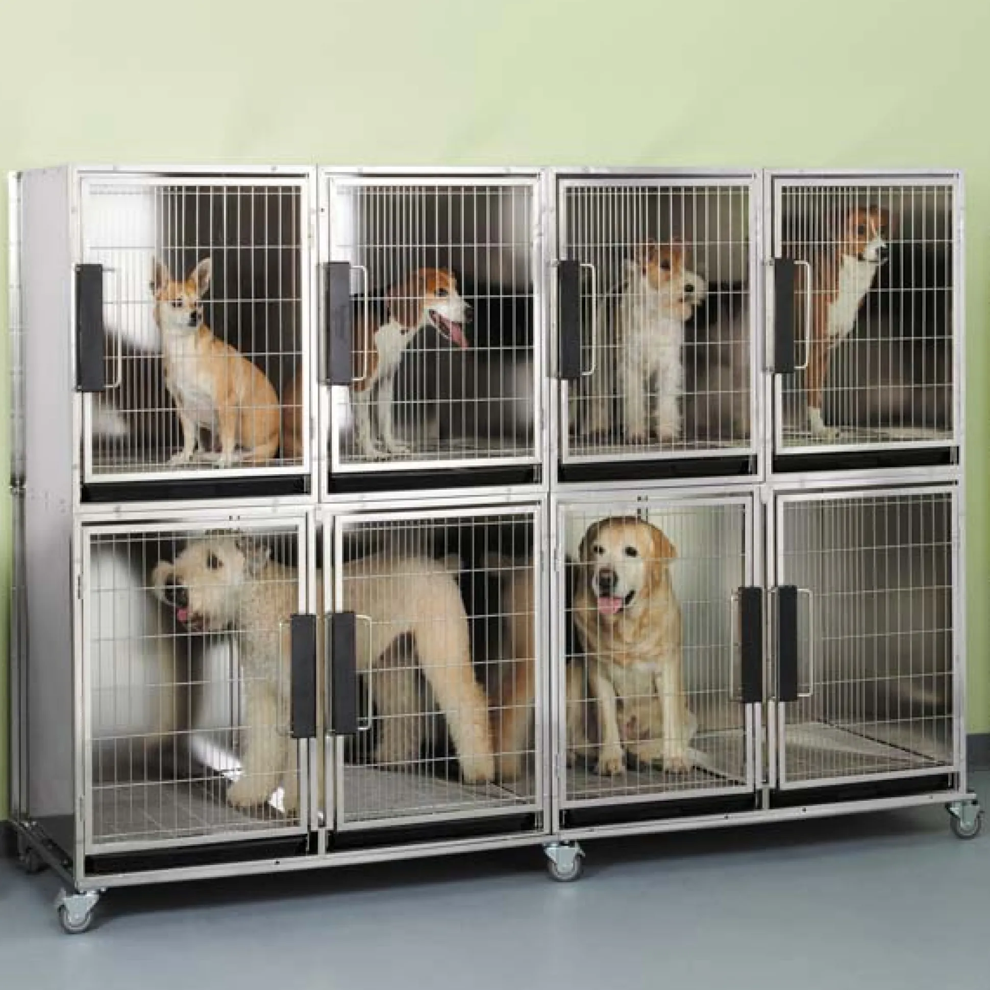 ProSelect Modular Dog Kennel Cages Stainless Steel