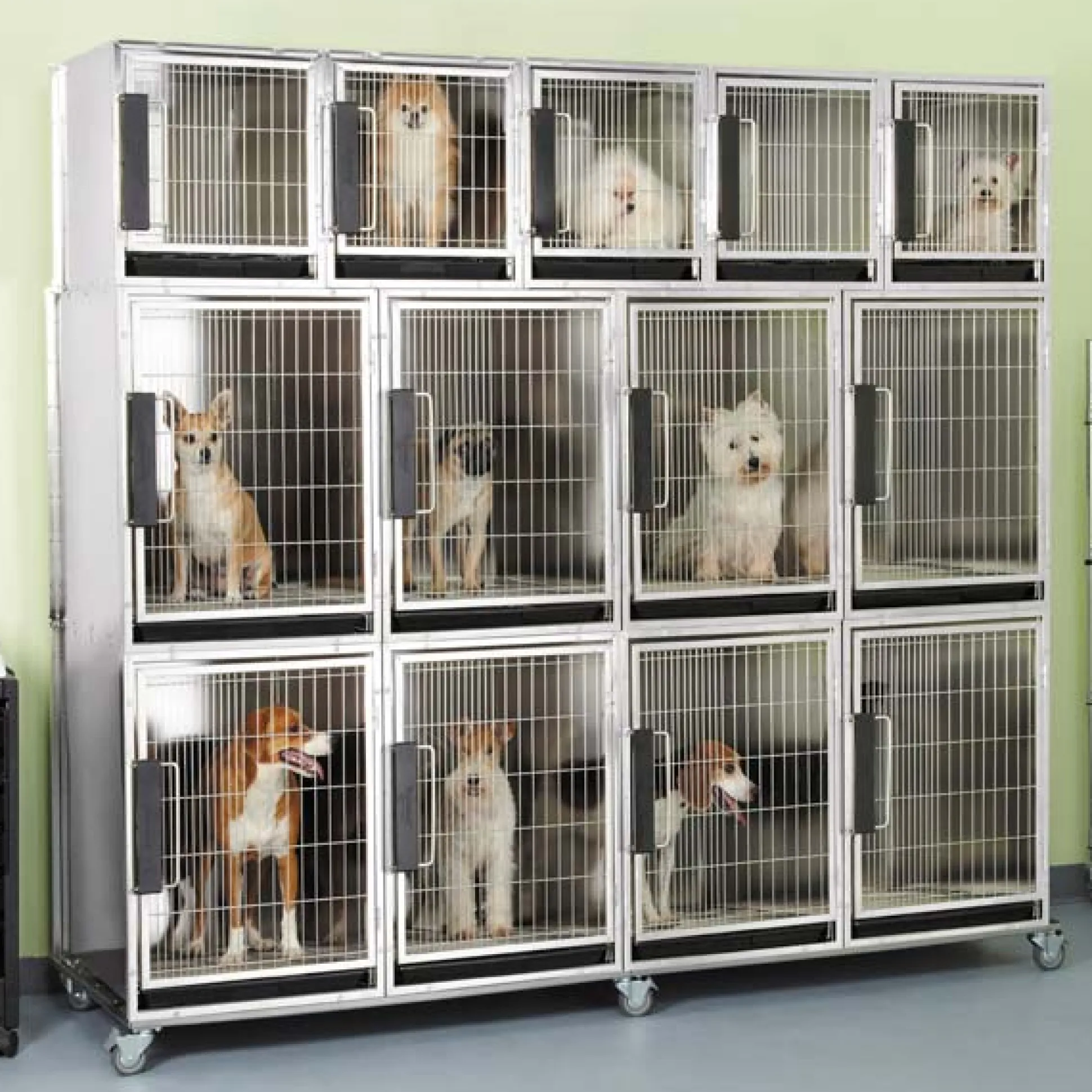 ProSelect Modular Dog Kennel Cages Stainless Steel