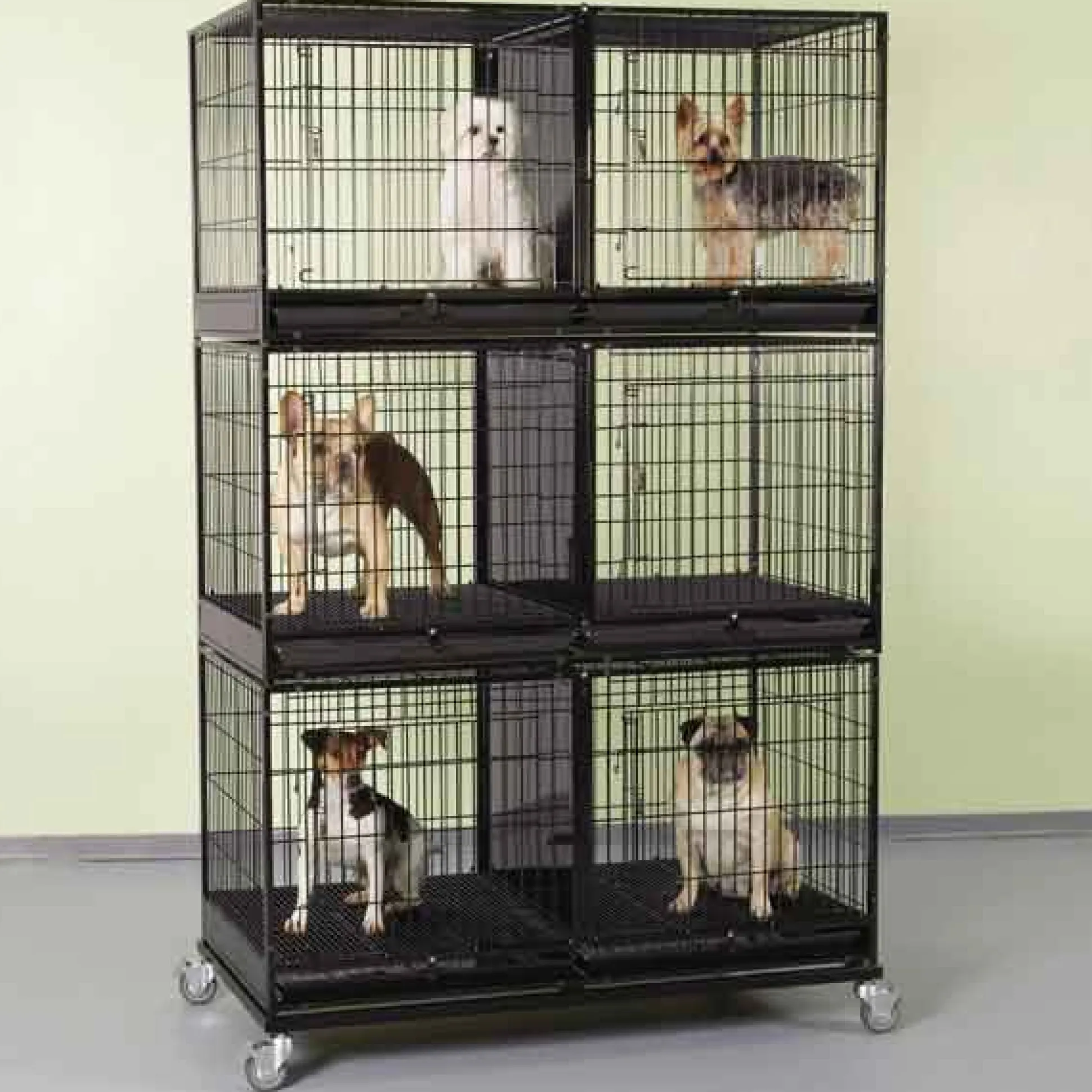 ProSelect Modular 3-Tier Cage Bank Kit