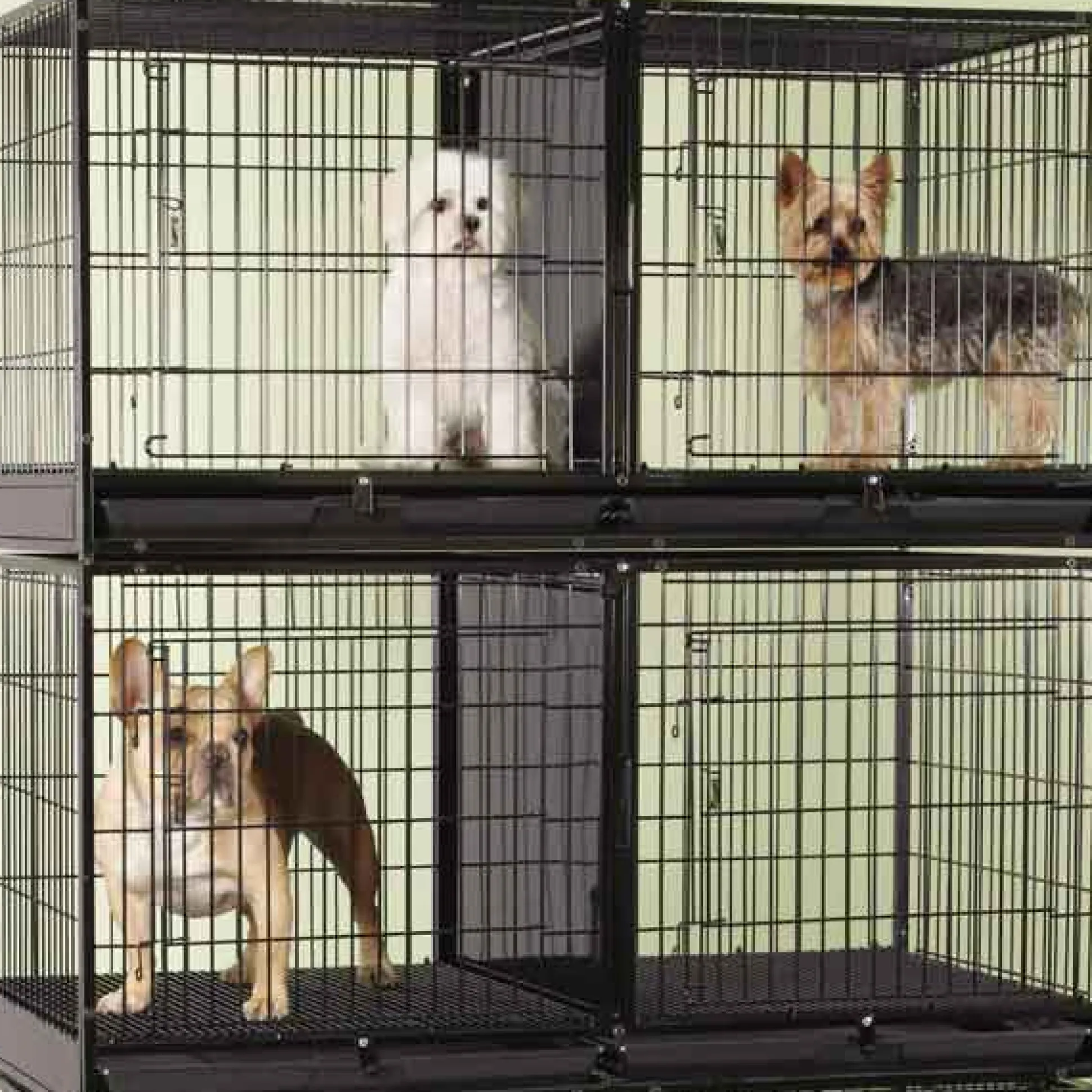 ProSelect Modular 3-Tier Cage Bank Kit