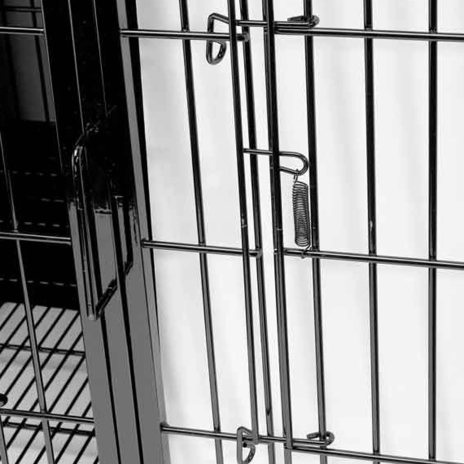 ProSelect Modular 3-Tier Cage Bank Kit