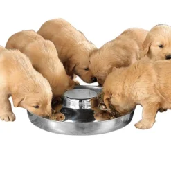 ProSelect Puppy Dishes