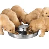 ProSelect Puppy Dish 14.5In