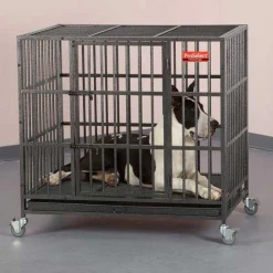 ProSelect Replacement Trays for Empire Cages
