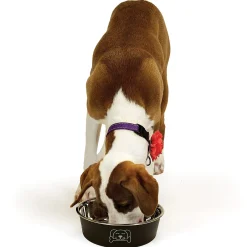 ProSelect Stainless Steel Goodie Bowls