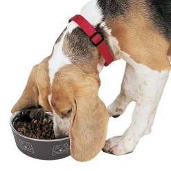 ProSelect Stainless Steel Goodie Bowls