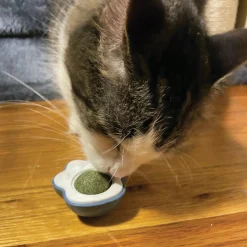 Scruffy's Catnip Roller Balls