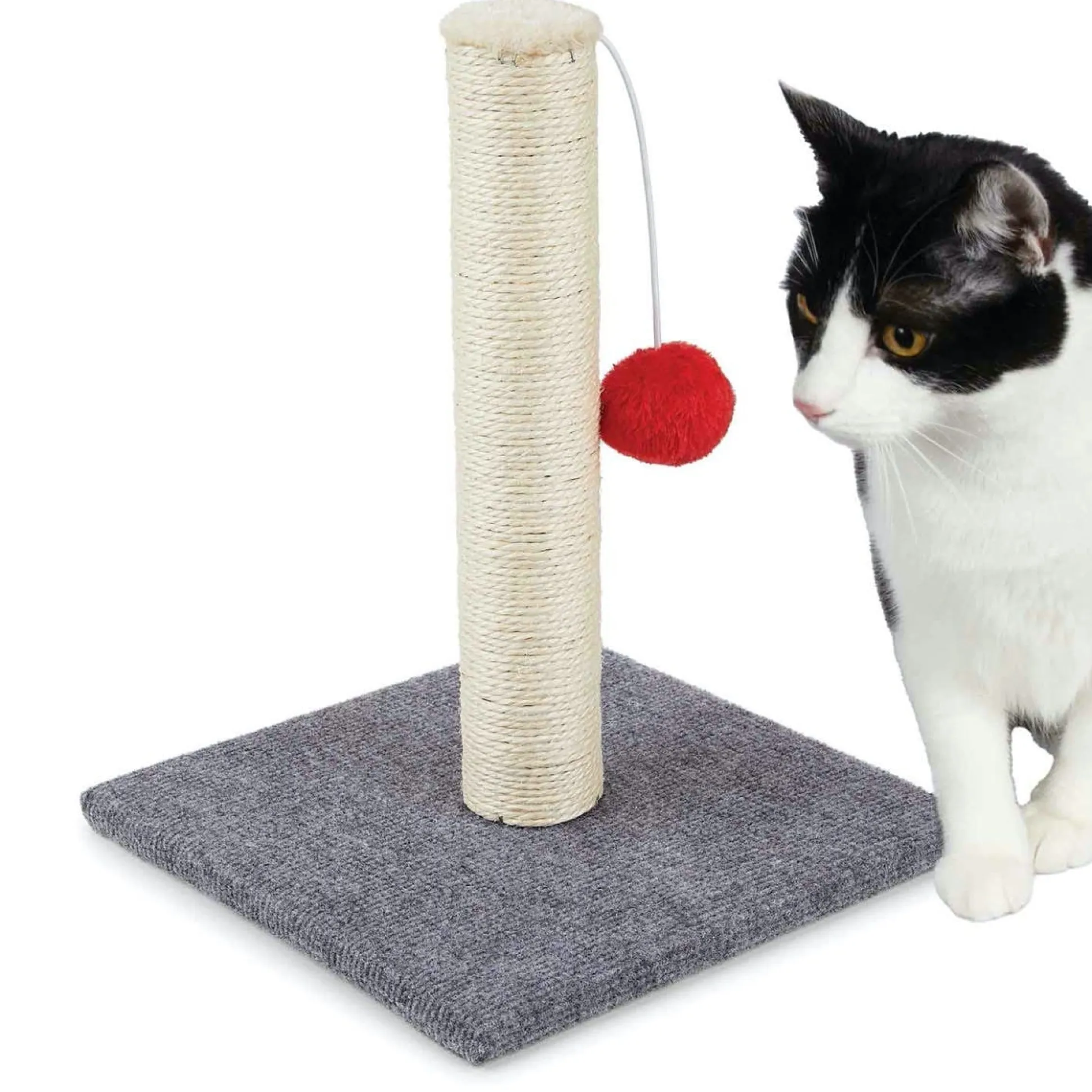 Scruffy's Scratching Post & Ball